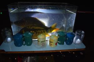 20251011 lampionovy pruvod 35