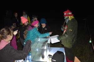 20251011 lampionovy pruvod 38